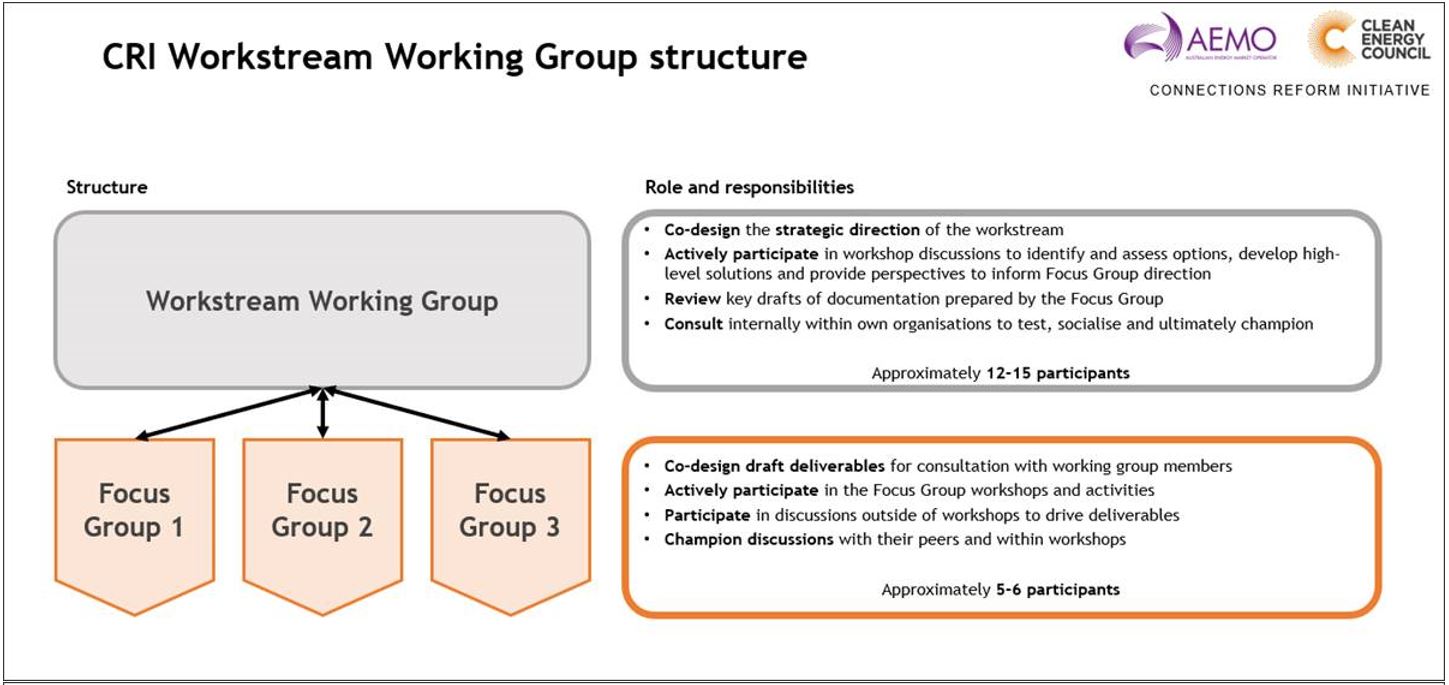 CRI Workstream Working Group structure