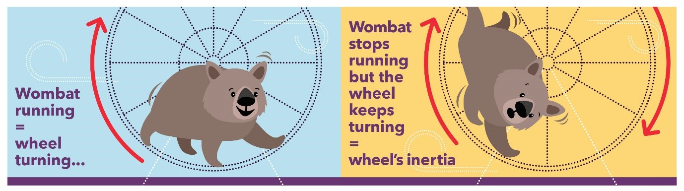 Graphic demonstrating system inertia with a wombat