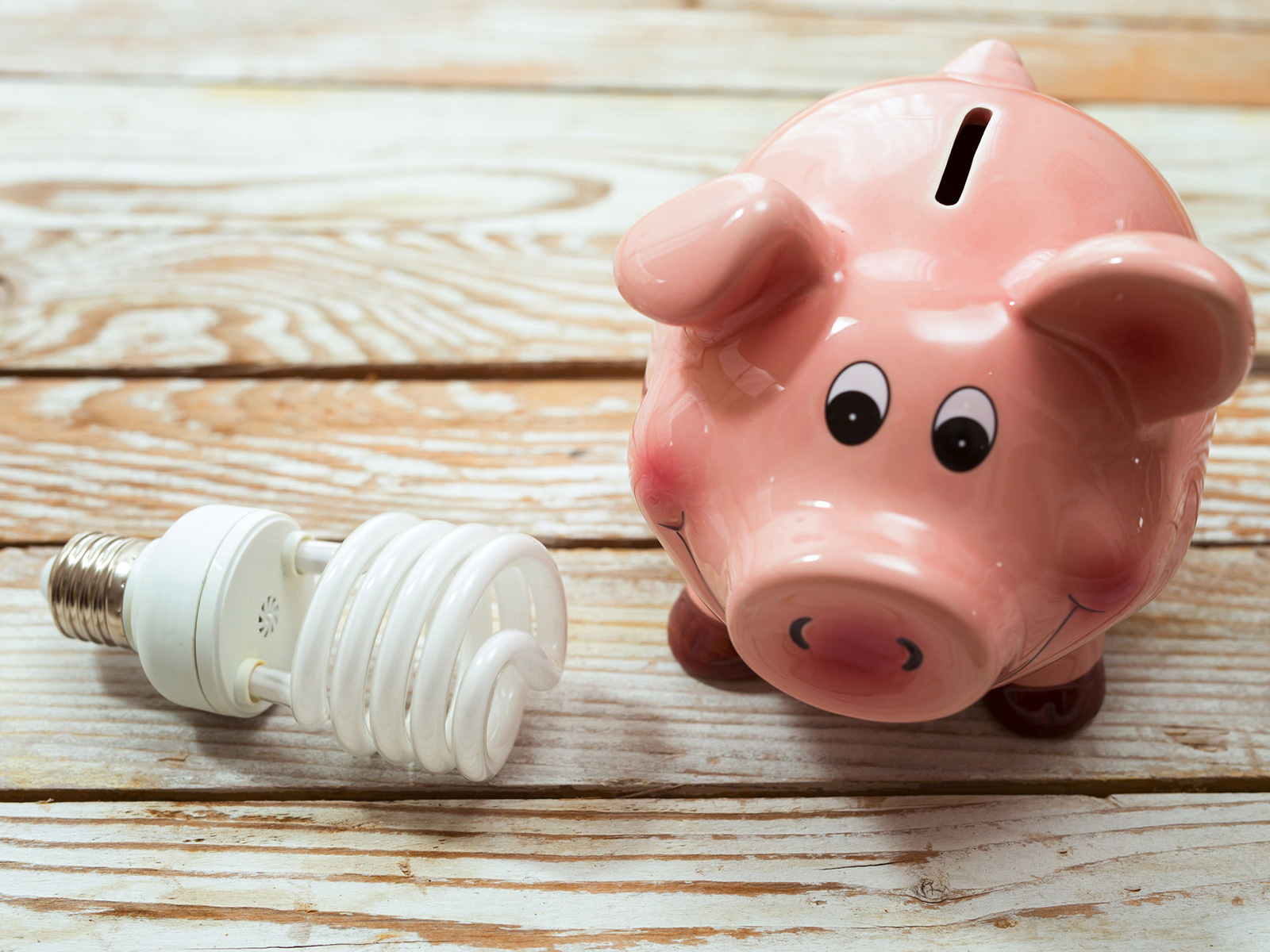 Piggy bank next to an energy saver light bulb