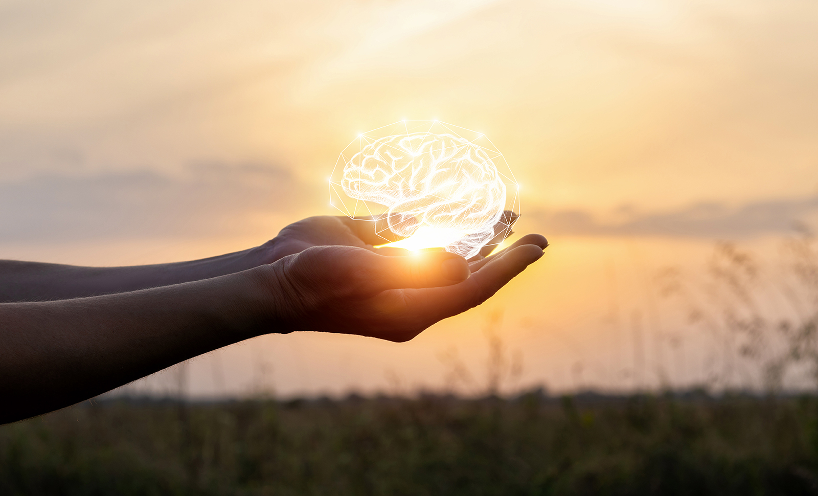 Hands holding a glowing image of a brain, denoting positive mental health, with a sunrise in the background
